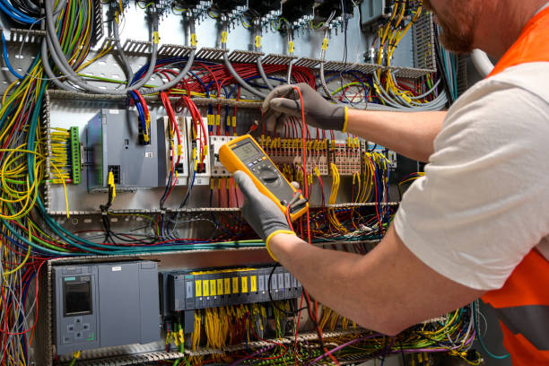 Best Local Electrician Companies  in Willacoochee, GA